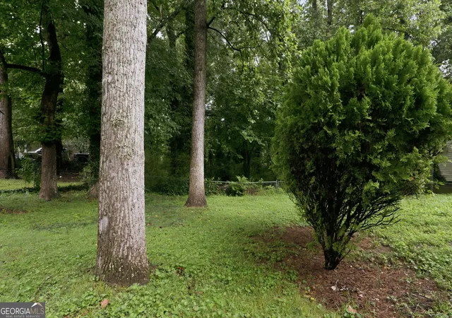 29th image of 2162 Chestnut Pl, Lithia Springs, GA 30122 | MLS# 10813068