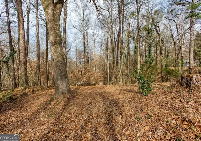 Photo 2 of Land for sale at 111 Maple, Roswell, GA 30075 | MLS# 10826805 | Listing updated on 2026-08-29