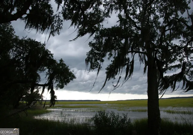 Photo 3 of Land for sale at Lot 33 Coopers Point Dr, Townsend, GA 31331 | MLS# 10773189 | Listing updated on 2026-09-04