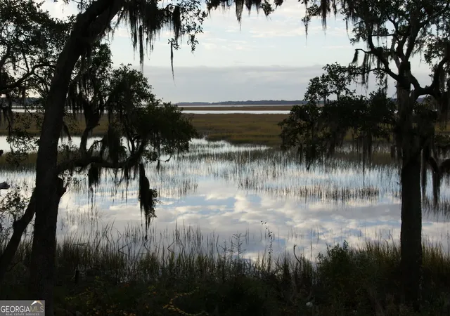 Photo 3 of Land for sale at Lot 33 Coopers Point Dr, Townsend, GA 31331 | MLS# 10773189 | Listing updated on 2026-09-04