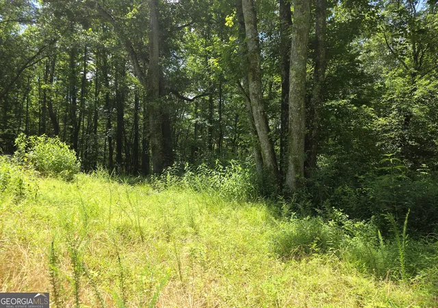 28th image of 1347 Windom Rd, Tallapoosa, GA 30176 | MLS# 10795686