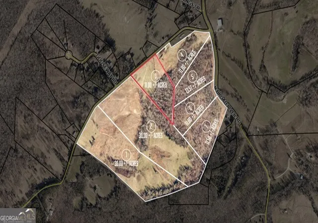 Homes for sale in Eastanollee, GA | 0 Gooseneck Rd #LOT 3, Eastanollee, GA 30538 | MLS# 10726594