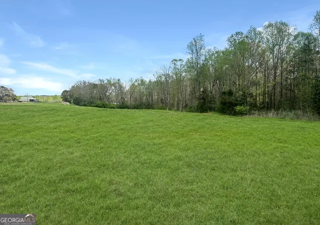 Homes for sale in Eastanollee, GA | 0 Gooseneck Rd #LOT 3, Eastanollee, GA 30538 | MLS# 10726594