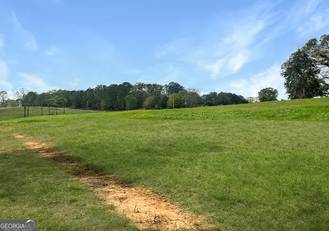 Homes for sale in Eastanollee, GA | 0 Gooseneck Rd #LOT 3, Eastanollee, GA 30538 | MLS# 10726594