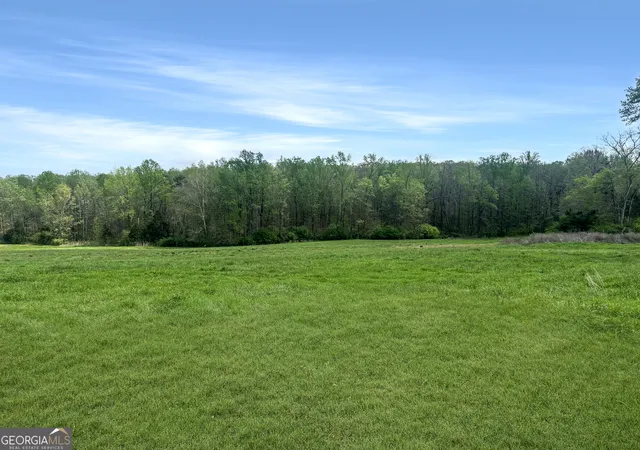 Homes for sale in Eastanollee, GA | 0 Gooseneck Rd #LOT 3, Eastanollee, GA 30538 | MLS# 10726594
