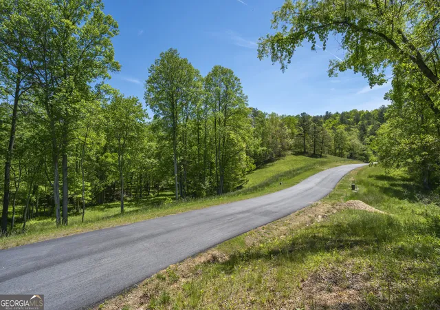 1st image of Lot 5 5a Jonica Gap Rd, Mineral Bluff, GA 30559 | MLS# 10800069