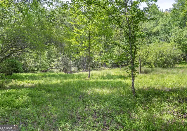 Photo 3 of Land for sale at Lot 5 5a Waterstone Way, Mineral Bluff, GA 30559 | MLS# 10800069 | Listing updated on 2026-07-20