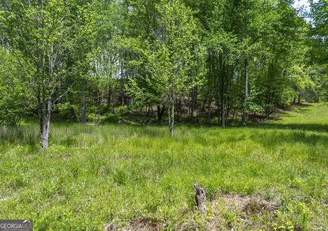Photo 4 of Land for sale at Lot 5-5a Waterstone Way, Mineral Bluff, GA 30559 | MLS# 10800069 | Listing updated on 2026-07-20