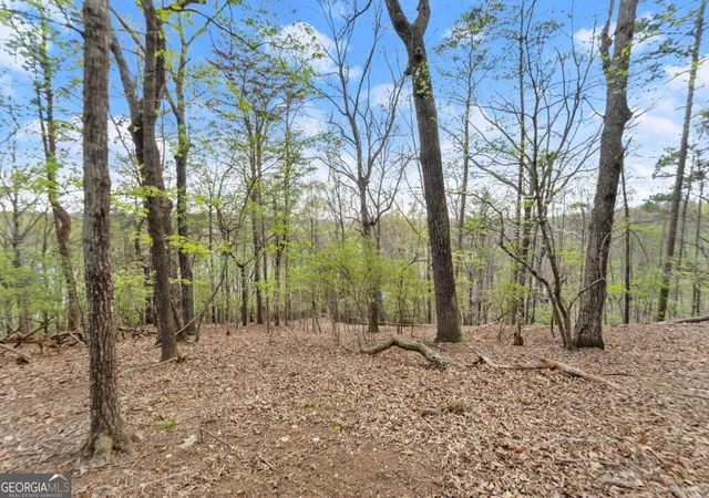 Photo 2 of Land for sale at 2524 Thompson Ovlk, Gainesville, GA 30506 | MLS# 10727300 | Listing updated on 2026-04-21