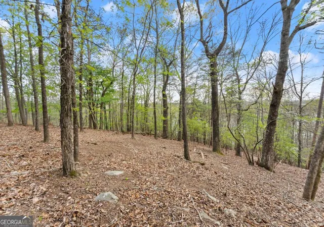 Photo 2 of Land for sale at 2524 Thompson Ovlk, Gainesville, GA 30506 | MLS# 10727300 | Listing updated on 2026-04-21