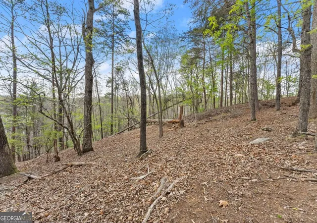 Photo 3 of Land for sale at 2524 Thompson Ovlk, Gainesville, GA 30506 | MLS# 10727300 | Listing updated on 2026-04-21