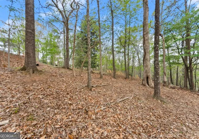 Photo 4 of Land for sale at 2524 Thompson Ovlk, Gainesville, GA 30506 | MLS# 10727300 | Listing updated on 2026-04-21