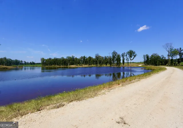 23rd image of 0 Walters Rd, Barnesville, GA 30204 | MLS# 10778749