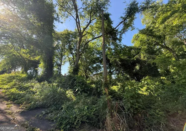Photo 3 of Land for sale at 0 Hopewell St, Rome, GA 30161 | MLS# 10766936 | Listing updated on 2026-09-16
