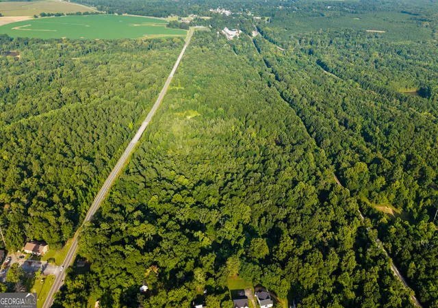2nd image of Tbd State Route 26 Rd, Montezuma, GA 31063 | MLS# 10806669