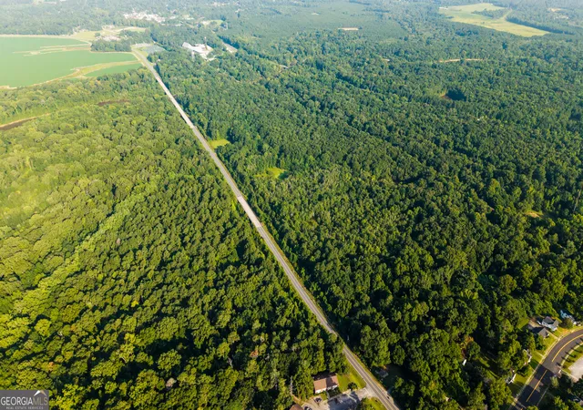 3rd image of Tbd State Route 26 Rd, Montezuma, GA 31063 | MLS# 10806669