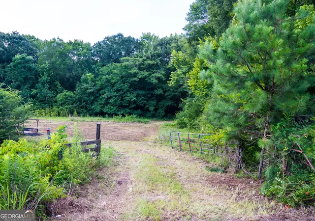 52nd image of Tbd State Route 26 Rd, Montezuma, GA 31063 | MLS# 10806669