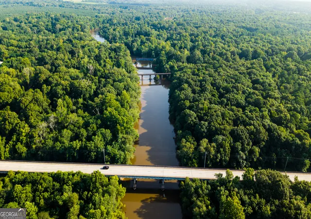 5th image of Tbd State Route 26 Rd, Montezuma, GA 31063 | MLS# 10806669