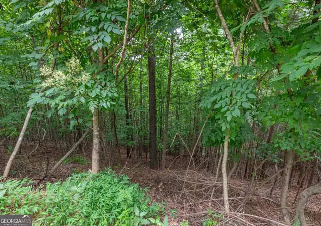 Photo 3 of Land for sale at Lot 82 Thirteen Hundred, Blairsville, GA 30512 | MLS# 10809948 | Listing updated on 2026-08-04