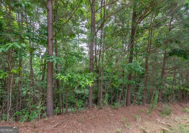 Photo 4 of Land for sale at Lot 82 Thirteen Hundred, Blairsville, GA 30512 | MLS# 10809948 | Listing updated on 2026-08-04