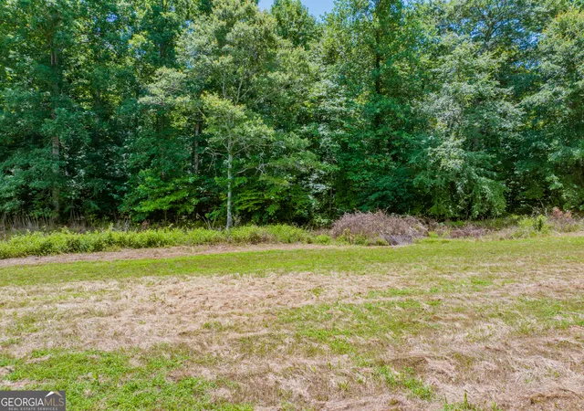 12th image of 214 Acres Cochran Rd, Madison, GA 30650 | MLS# 10794796