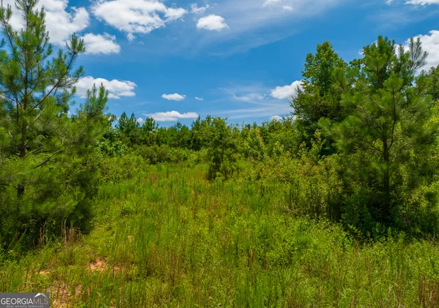 4th image of 214 Acres Cochran Rd, Madison, GA 30650 | MLS# 10794796