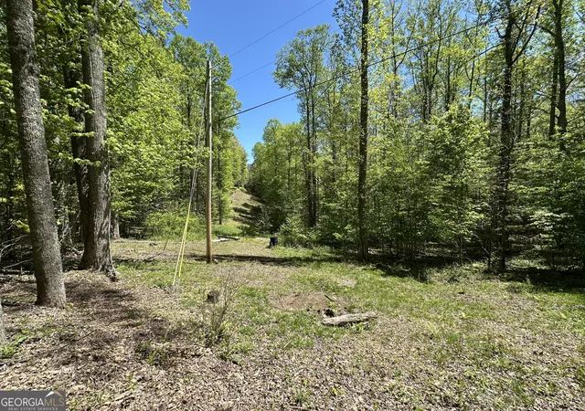 Homes for sale in Scaly Mountain, NC | 0 Buck Knob Rd, Scaly Mountain, NC 28775 | MLS# 10724130