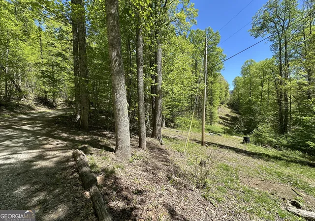 Homes for sale in Scaly Mountain, NC | 0 Buck Knob Rd, Scaly Mountain, NC 28775 | MLS# 10724130
