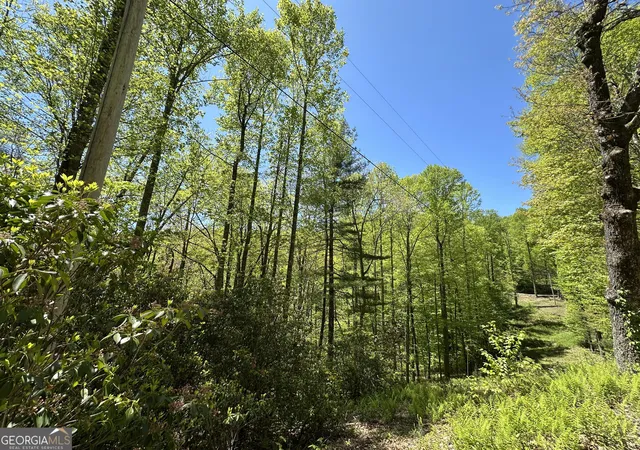 Homes for sale in Scaly Mountain, NC | 0 Buck Knob Rd, Scaly Mountain, NC 28775 | MLS# 10724130