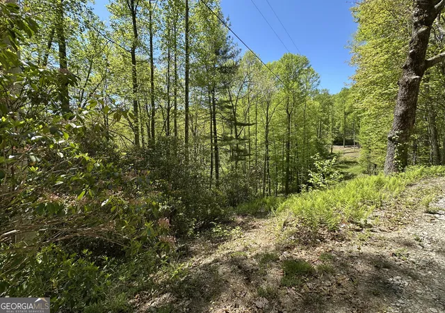 Homes for sale in Scaly Mountain, NC | 0 Buck Knob Rd, Scaly Mountain, NC 28775 | MLS# 10724130