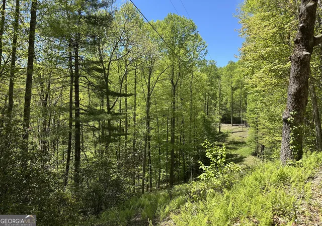 Homes for sale in Scaly Mountain, NC | 0 Buck Knob Rd, Scaly Mountain, NC 28775 | MLS# 10724130