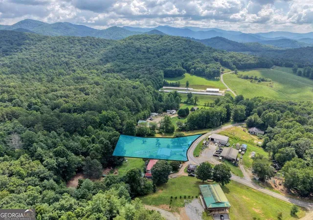 46th image of 389 Nelson Cir, Blairsville, GA 30512 | MLS# 10820262