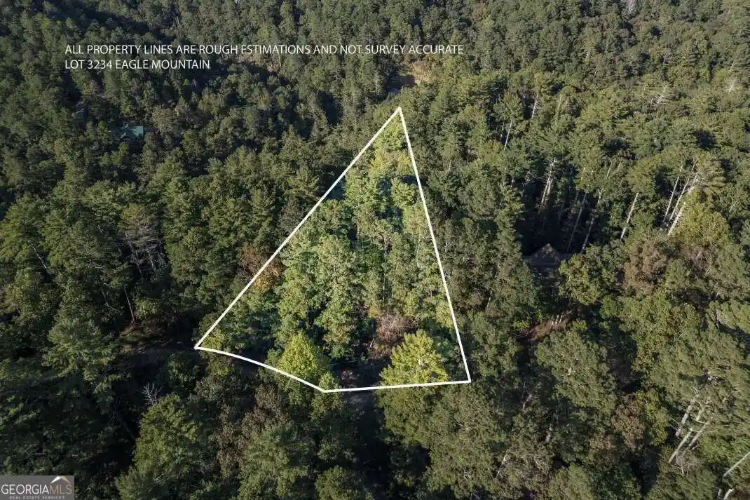Photo 1 of Land for sale at Lot 3234 Eagle Mountain, Ellijay, GA 30540 | MLS# 10867940 | Listing updated on 2026-10-20