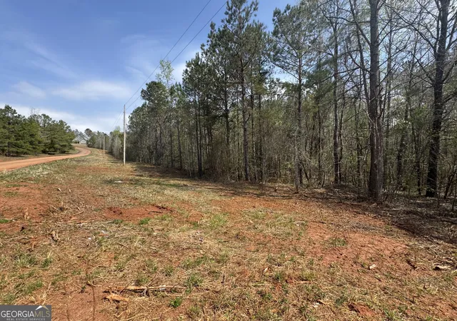 Homes for sale in Lanett, AL | Lot 22 13Th Cou 13Th Court, Lanett, AL 36863 | MLS# 10693826