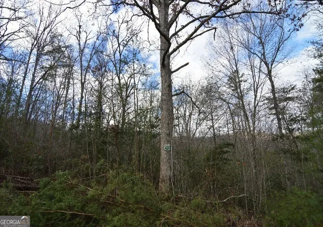 Photo 1 of Land for sale at Lot 48 Laurel Brooke, Blairsville, GA 30512 | MLS# 8574417 | Listing updated on 2026-04-26