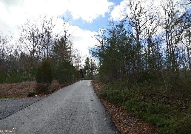 Photo 3 of Land for sale at Lot 48 Laurel Brooke, Blairsville, GA 30512 | MLS# 8574417 | Listing updated on 2026-04-26