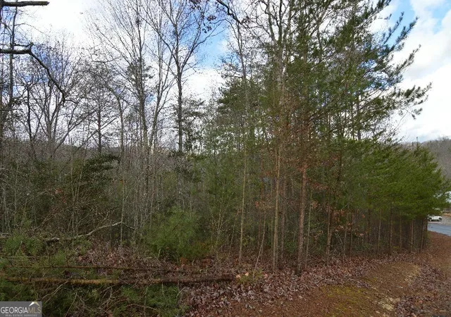 Photo 4 of Land for sale at Lot 48 Laurel Brooke, Blairsville, GA 30512 | MLS# 8574417 | Listing updated on 2026-04-26