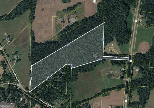 Homes for sale in Bowdon, GA | 4104 W 5 Hwy, Bowdon, GA 30108 | MLS# 10789103