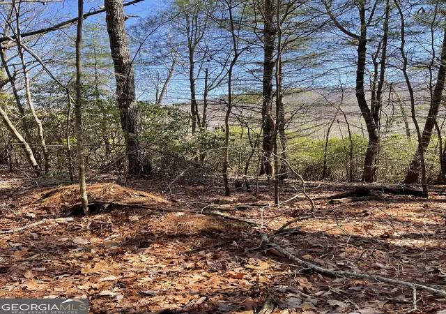 Photo 1 of Land for sale at 0 Chesada Ln, Blairsville, GA 30512 | MLS# 10836476 | Listing updated on 2026-09-14