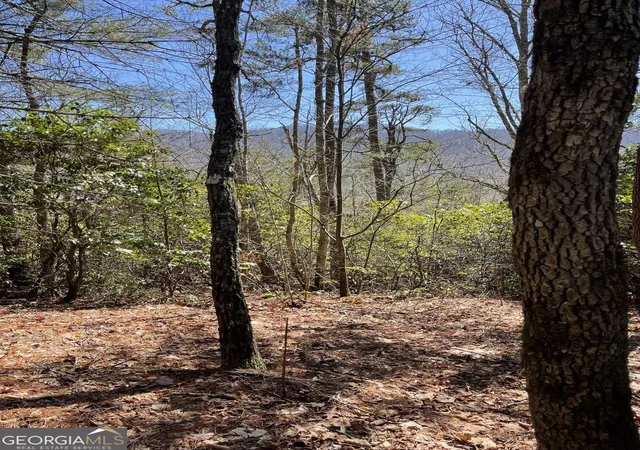 Photo 2 of Land for sale at 0 Chesada Ln, Blairsville, GA 30512 | MLS# 10836476 | Listing updated on 2026-09-14