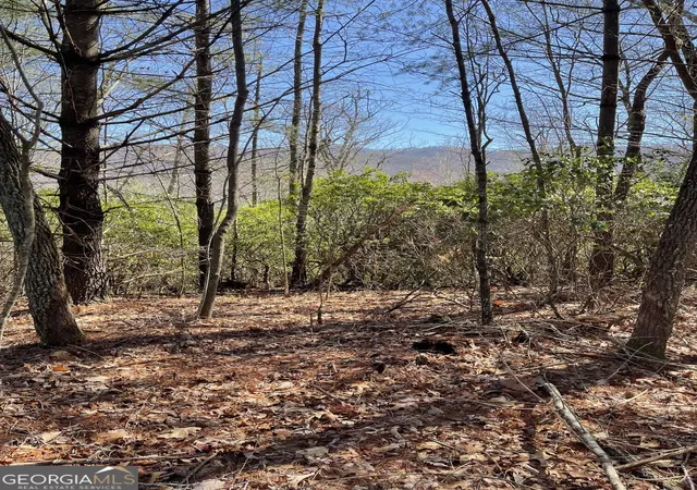 Photo 3 of Land for sale at 0 Chesada Ln, Blairsville, GA 30512 | MLS# 10836476 | Listing updated on 2026-09-14