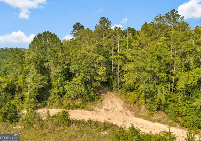 Photo 2 of Land for sale at Mercer Tract New Hopewell Church Rd, Jeffersonville, GA 31044 | MLS# 10830559 | Listing updated on 2026-09-04