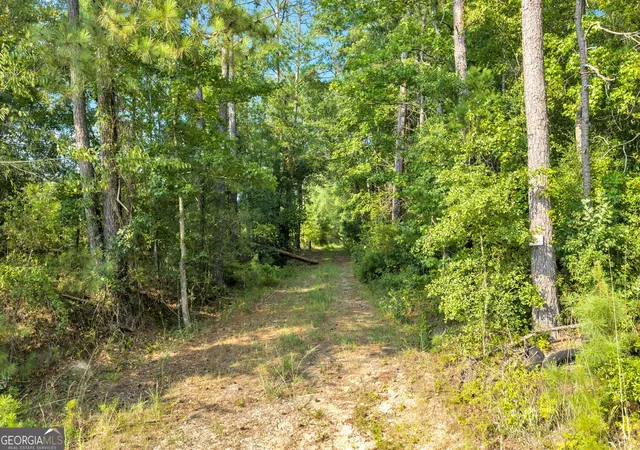 Photo 3 of Land for sale at Mercer Tract New Hopewell Church Rd, Jeffersonville, GA 31044 | MLS# 10830559 | Listing updated on 2026-09-04