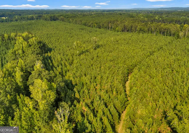 Photo 3 of Land for sale at Mercer Tract New Hopewell Church Rd, Jeffersonville, GA 31044 | MLS# 10830559 | Listing updated on 2026-09-04
