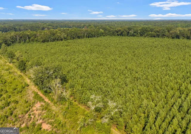 Photo 4 of Land for sale at Mercer Tract New Hopewell Church Rd, Jeffersonville, GA 31044 | MLS# 10830559 | Listing updated on 2026-09-04