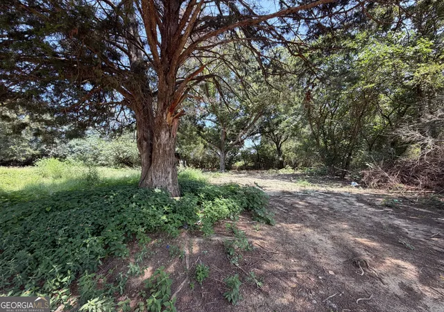 Photo 3 of Land for sale at 112 Quinton Rowland, Chester, GA 31012 | MLS# 10833059 | Listing updated on 2026-08-26