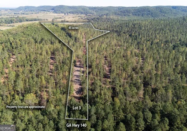Photo 1 of Land for sale at 3793 Hwy 140 Ne, Rydal, GA 30171 | MLS# 10632071 | Listing updated on 2025-11-10