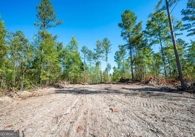 Photo 3 of Land for sale at 3793 Hwy 140 Ne, Rydal, GA 30171 | MLS# 10632071 | Listing updated on 2025-11-10