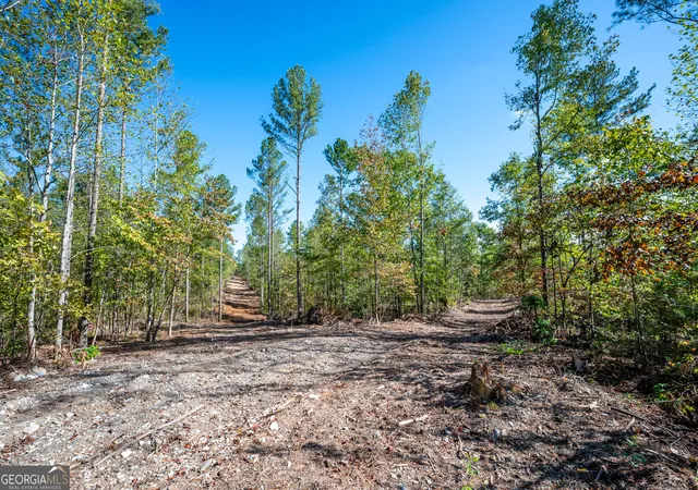 Photo 3 of Land for sale at 3793 Hwy 140 Ne, Rydal, GA 30171 | MLS# 10632071 | Listing updated on 2025-11-10