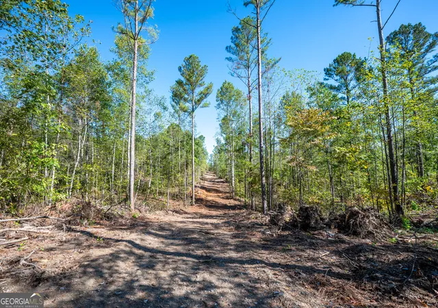 Photo 4 of Land for sale at 3793 Hwy 140 Ne, Rydal, GA 30171 | MLS# 10632071 | Listing updated on 2025-11-10